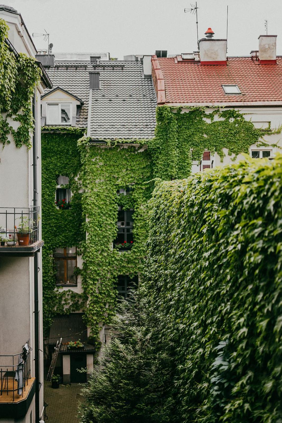 Antique Apartments Old Town Krakow Bagian luar foto